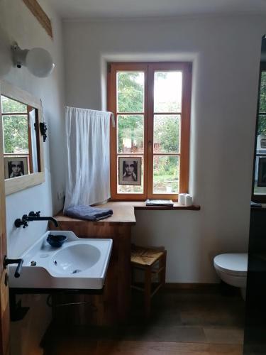 a bathroom with a sink and a toilet and a window at Lehm-Fachwerk-Denkmal in Arnshall