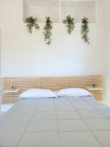 Un ou plusieurs lits dans un hébergement de l'établissement Seva's House