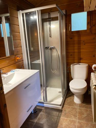 a bathroom with a shower and a toilet and a sink at Casa Rural Santa Mariña in Portomarin