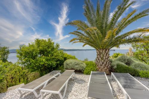 a row of benches sitting next to a palm tree at Debeli Rtič Apartments in Ankaran