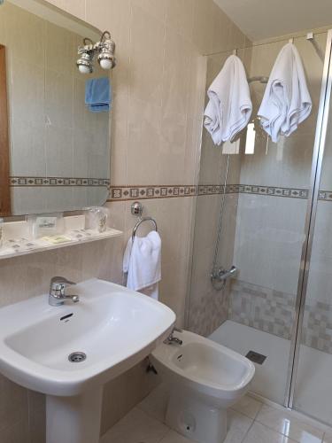 a bathroom with a sink and a shower and a toilet at Hotel Santa María in Palos de la Frontera