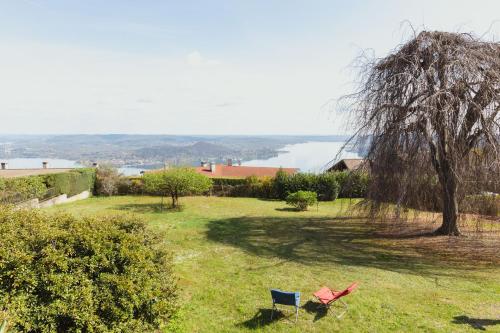 two chairs in a field with a tree and water at Maestrale in Nebbiuno