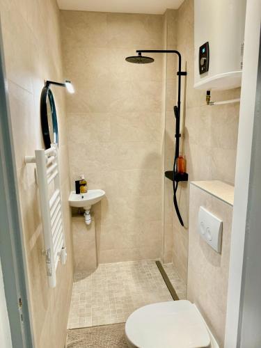 une salle de bain avec une douche, des toilettes et un lavabo dans l'établissement Au Mélo' - Proche Gare & Centre, à Reims