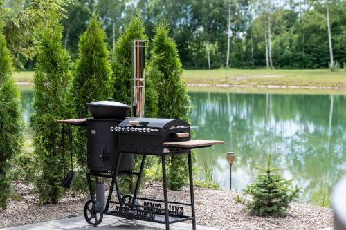 a grill sitting in front of a lake at Poilsio Vingis in Liūnai
