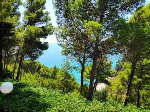a view of the ocean through the trees at Casa Marilena vista mare in Sperlonga