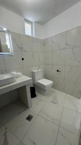 a white bathroom with a toilet and a sink at Το ΦΑΡΑΓΓΙ Του ΠΑΡΝΑΣΣΟΥ in Velítsa
