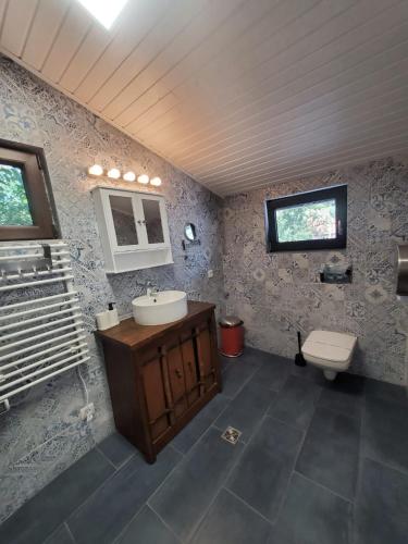 a bathroom with a sink and a toilet at Pensiunea Casa Dacilor in Podeni