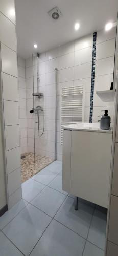 une salle de bain blanche avec une douche et un lavabo dans l'établissement Appartement lumineux 2 chambres, à Colmar