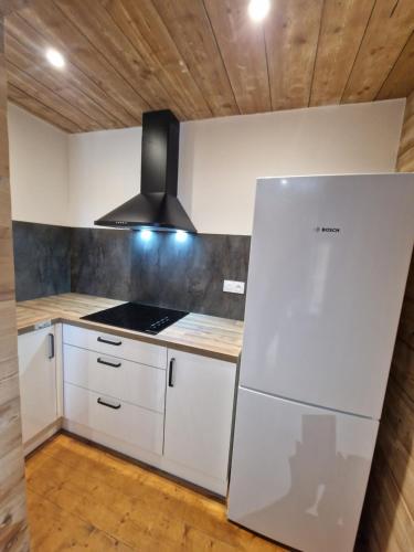 Η κουζίνα ή μικρή κουζίνα στο Appartement Atypique Saxel