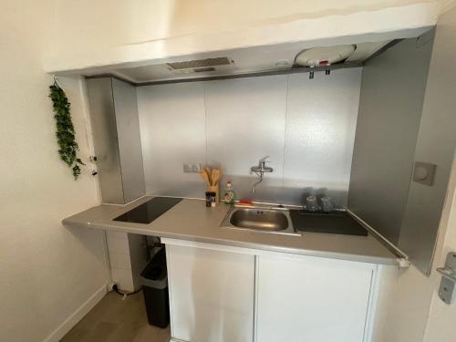 une cuisine avec un évier et un plan de travail dans l'établissement Les Allées Provençales, à Montélimar