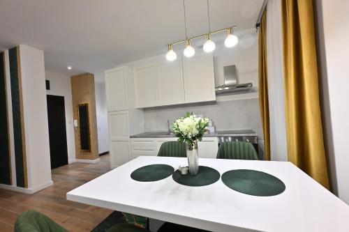 Η κουζίνα ή μικρή κουζίνα στο Lux Apartmani Novi Park