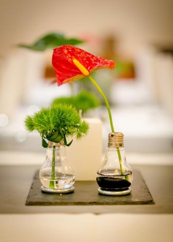 two glass vases with a red flower on a table at Hotel Germania in Stadtallendorf