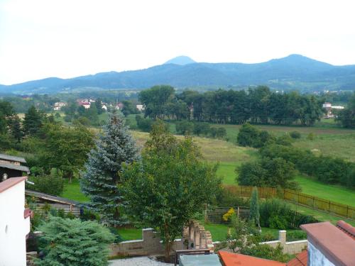 a view of a garden with trees and mountains at Apartments České Středohoří in Teplice