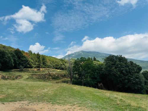 a field with trees and a mountain in the background at Casa Rural CAL PAGÉS Montseny in Montseny