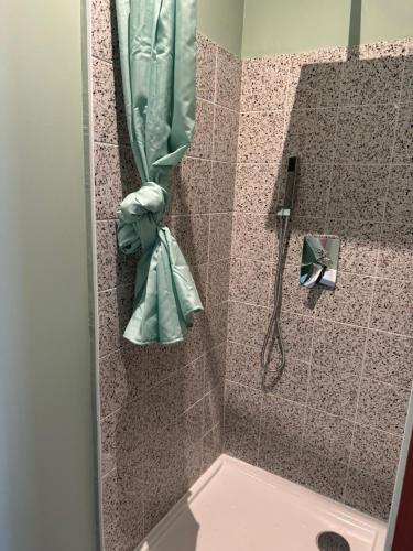 une douche avec un rideau de douche dans une salle de bain dans l'établissement Appartement hyper centre, à Bordeaux