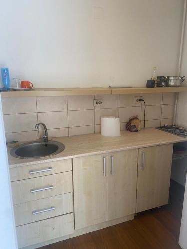 Kuchyň nebo kuchyňský kout v ubytování Apartament Ultracentral cu o camera