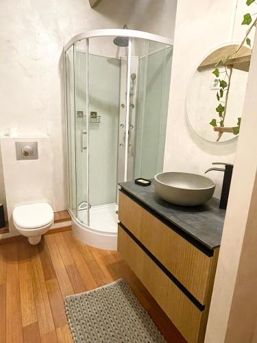 une salle de bain avec un lavabo et une douche dans l'établissement domaine de montbuisson, à Tourbes
