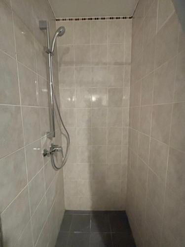 a shower in a bathroom with a tiled wall at Appartement plein centre du puy en velay avec parking in Le Puy en Velay