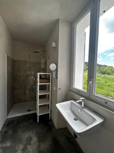 a bathroom with a sink and a shower and a window at La Torre Granaia in Serravalle Scrivia