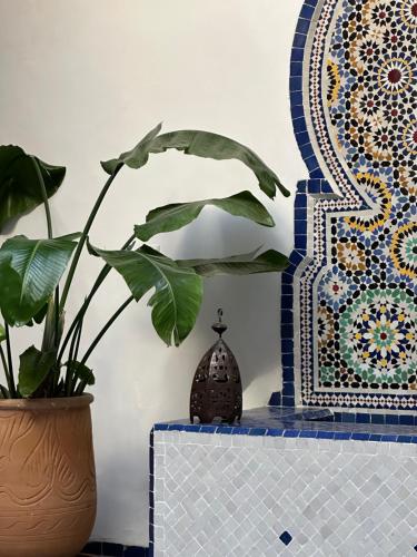 a table with a plant and a blue and white tiles at Dar Faracha Fes in Fès