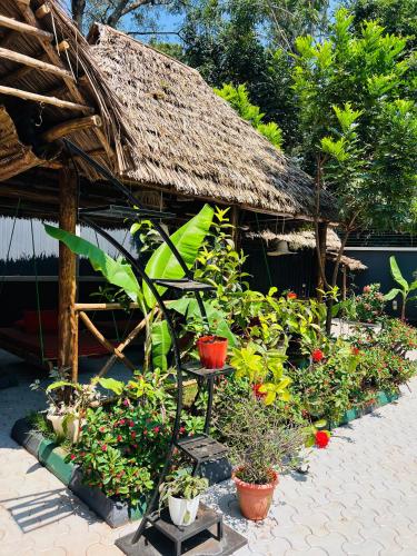 a garden with plants and flowers in front of a building at Villa Rosa in Moshi