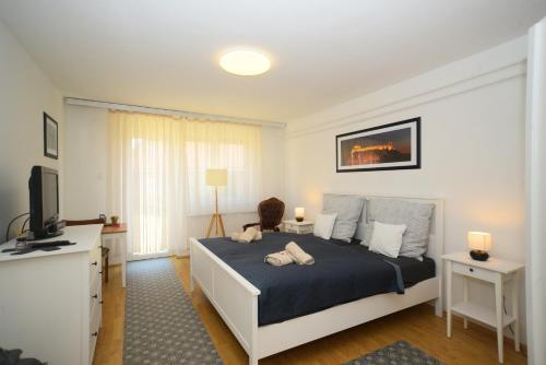 a bedroom with a bed and a television in it at Vadrózsa apartman in Sümeg