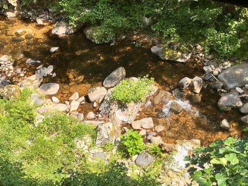 a stream of water with rocks and plants at L'étape Dumas in Beauvène