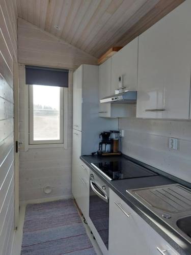 Η κουζίνα ή μικρή κουζίνα στο Tiny house with sauna and hot tub close to archipelago