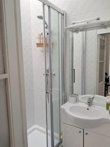 une salle de bain avec douche et lavabo dans l'établissement In the heart of Le Marais Paris, à Paris