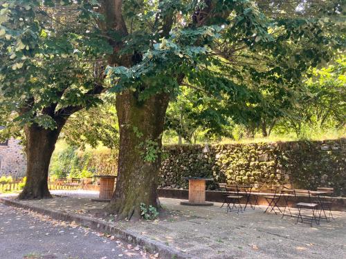 two trees and two benches in a park at L'étape Dumas in Beauvène