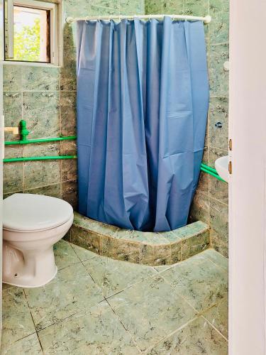 a bathroom with a toilet and a blue shower curtain at Apartman Radulovic in Negotin