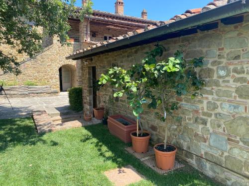 a brick building with potted plants on the side of it at Podere Cavalbianco in Ciggiano