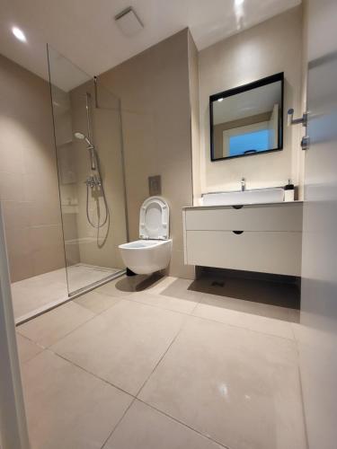 a bathroom with a toilet and a sink and a shower at BW Waterfront LUX apartment, parking free in Sajmište