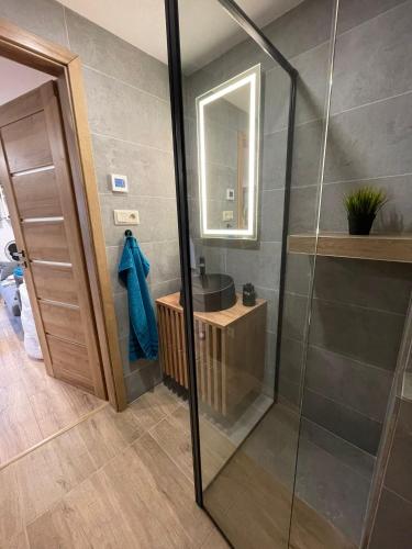 a bathroom with a shower with a sink and a mirror at Apartmány Kašper in Levoča