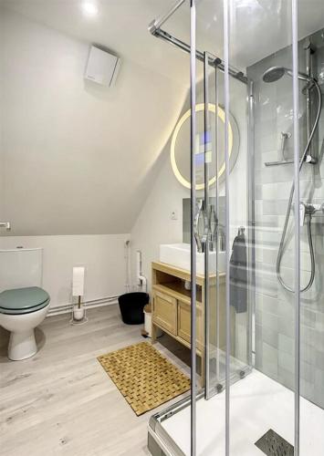une salle de bain avec une douche, des toilettes et un lavabo dans l'établissement Chez Mily Joli petit duplex plein centre Villers Cotteret draps et serviettes fournis, à Villers-Cotterêts