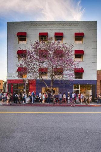 a building with a flowering tree in front of it at American Hotel in Los Angeles