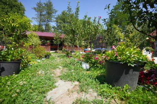 Taman di luar Casa Ion
