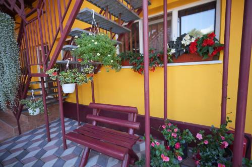 Taman di luar Casa Ion
