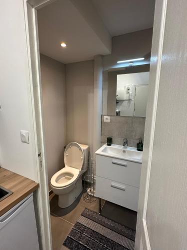 une petite salle de bain avec toilettes et lavabo dans l'établissement Studio refait à neuf proche de la Gare de Lyon Perrache, à La Mulatière