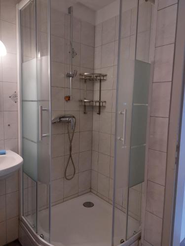a shower with a glass door in a bathroom at Waldapartment in Kranzlhofen