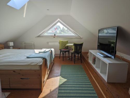 a bedroom with a bed and a tv and a window at Landleben Eichenhof in Himbergen