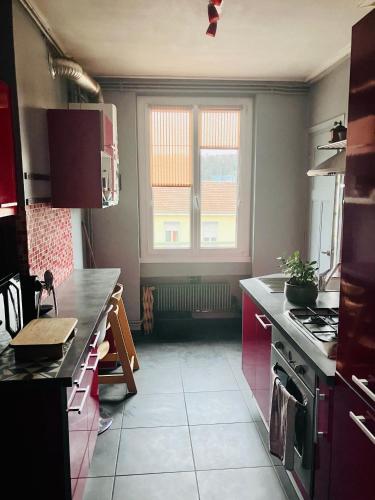 Grand Appartement Cosy au cœur de Lyon 9