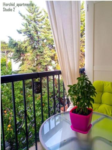 a potted plant sitting on a glass table on a balcony at Orchid Apartments in Thérmi