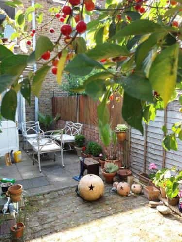 Κήπος έξω από το Cosy London double room near Wimbledon