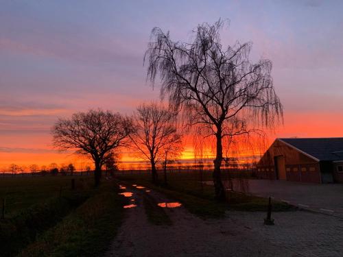 a sunset over a field with trees and a barn at Heikant Hoeve met Jacuzzi in Baarle-Nassau