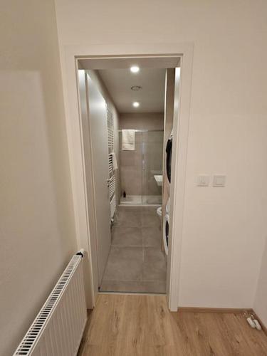 a hallway of a bathroom with a walk in shower at Byt K21 Na Perštýně in Liberec