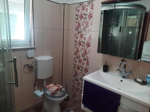 ein Badezimmer mit Toilette, Waschbecken und Spiegel in der Unterkunft Villa Luna Misevici in Hadžići