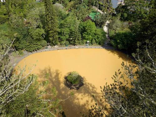 an aerial view of a yellow pond in a park at Terra Nostra Garden Hotel in Furnas