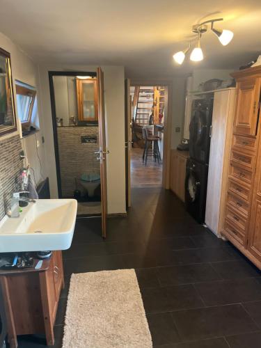 a bathroom with a sink and a counter and a kitchen at Gregor in Pravonín