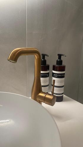 a bathroom sink with a faucet and two bottles of soap at Orfeo Knokke in Knokke-Heist